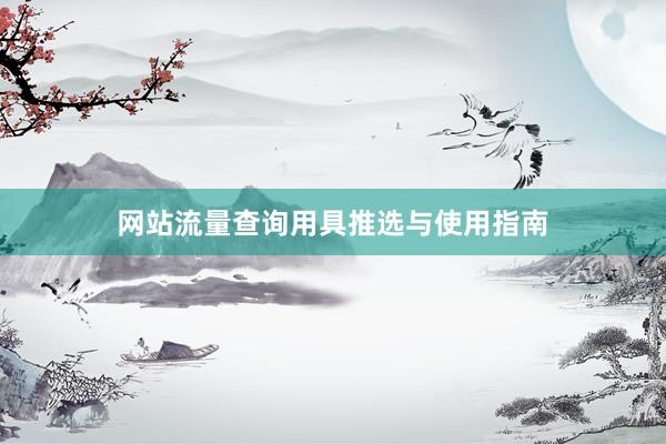 网站流量查询用具推选与使用指南