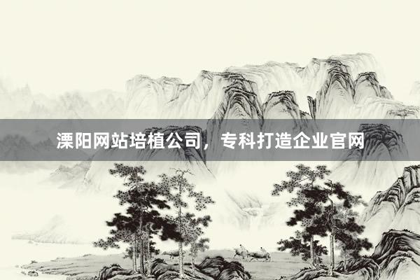溧阳网站培植公司，专科打造企业官网
