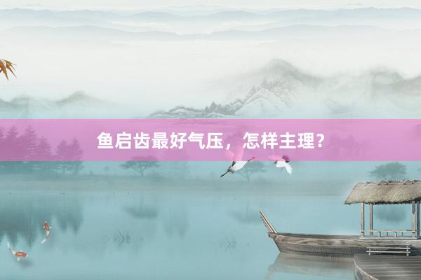鱼启齿最好气压，怎样主理？